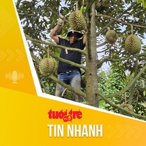 Tin tức sáng 8-7: Giá sầu riêng bật tăng lại, nông dân đua trồng mới