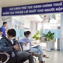 TP.HCM tiếp tục áp dụng bảng giá đất hiện hành để giải tỏa ách tắc hồ sơ thuế