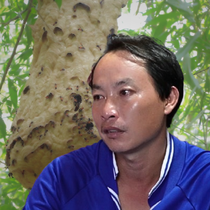 Mẹ tử vong khi che chắn cho con trước bầy ong vỡ tổ: Nỗi đau người ở lại và lời cảnh báo
