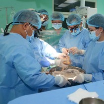 Tại Việt Nam chủ yếu ghép tạng từ người cho tạng còn sống, vì sao?