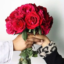 Bất ngờ phát hiện hoa hồng đỏ vốn... màu vàng