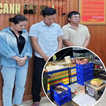 Khởi tố 3 người mua bán, chế biến thịt heo thối, heo bệnh bán ra nhiều tỉnh
