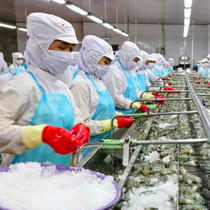Với mức thuế đối ứng 46%, ngành nào ở Việt Nam bị ảnh hưởng nhiều nhất?