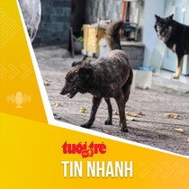 Tin tức sáng 12-8: Liên tiếp trẻ bị chó tấn công, bác sĩ khuyến cáo cảnh giác