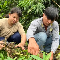 Tâm sự của nữ sinh nghị lực vừa trúng tuyển ngành điều dưỡng sau nhiều biến cố