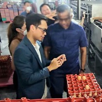 Công ty Ba Huân nợ hơn 600 tỉ đồng: Ai nợ, nợ ai?
