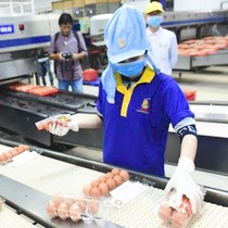 Biến động nhân sự cấp cao của Công ty Ba Huân trước khi bị ngân hàng rao bán khoản nợ hơn 600 tỉ đồng
