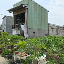 Dân nhường đất làm đường rồi mòn mỏi chờ tái định cư, lãnh đạo phường Châu Đốc nói gì?