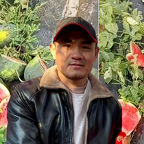 Vụ phá hoại ruộng dưa hấu ở Nghệ An: Thiệt hại dưới 2 triệu đồng, xử lý ra sao?