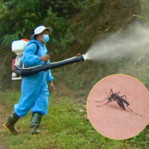 50.000 ca sốt xuất huyết trong tháng 5: Chuyên gia hướng dẫn phòng bệnh 