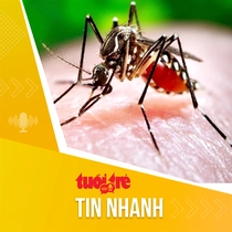 Tin tức sáng 21-8: Nguy cơ quá tải giường bệnh đến tháng 11 do sốt xuất huyết, tay chân miệng 
