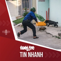 Tin tức tối 3-8: UBND TP.HCM yêu cầu các địa phương xử lý chó thả rông, tăng cường phòng bệnh dại