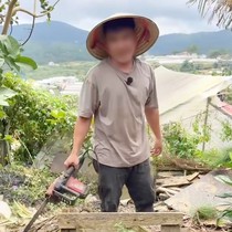 Vì sao thanh nhiên ở Đà Lạt bị phạt 35 triệu đồng khi cưa hạ cây thông trong vườn nhà?