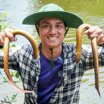 Nghe 'thổ địa' miền Tây chỉ cách se dây gân bắt lịch trong hang có nhiều ngách 