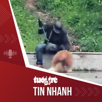Tin tức tối 3-9: Công an nói gì về vụ chó Alaska bị đánh dã man ở quảng trường Lâm Viên Đà Lạt?