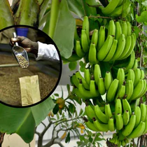 Nên hạn chế kết hợp 6 loại thực phẩm này nếu không muốn phản tác dụng, chướng bụng