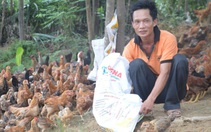 Biến đồi trọc thành nông trại '2 trong 1'