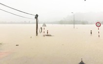 Cảnh báo khẩn cấp lũ lớn trên các sông từ Khánh Hoà - Tây Nguyên