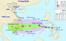 Bình Thuận: Dừng họp, tập trung ứng phó bão số 12