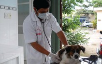 Đừng nhầm nhiễm sán chó với giun đũa chó