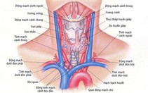 Những bệnh thường gặp của tuyến giáp