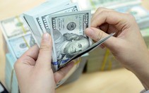 Ngân hàng Nhà nước yêu cầu thực hiện tốt huy động vốn bằng ngoại tệ