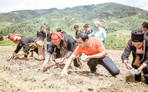 Phòng bệnh gan trước khi quá muộn