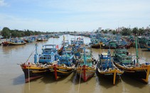 Ngư dân Ninh Thuận chạy nước rút tránh bão, TP.HCM cấm biển