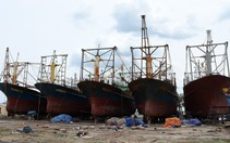 Có thể kiện ra tòa đòi bồi thường vụ tàu cá vỏ thép nằm bờ