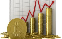 'Cơn điên' Bitcoin và thuyết 'sự ngu ngốc tăng dần'