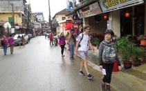 Tết dương lịch: du khách đổ ra Bắc... hưởng lạnh