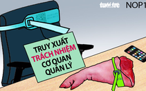Chỉ đeo vòng cho heo thôi là chưa đủ