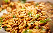 Người bị gan nhiễm mỡ nên ăn gì và kiêng ăn gì?