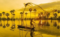 Đến 'xứ sở cây thốt nốt' Tịnh Biên mùa nước nổi