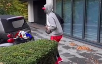 Pogba tung video vui nhộn gây "sốt"