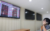 Khối ngoại mua ồ ạt, chứng khoán đầu tháng 11 vẫn giảm điểm