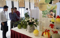 Giữa biến đổi khí hậu, dân miền Tây 'Cùng xây cuộc sống xanh'