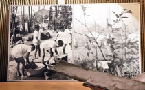 'Thành phố cầu vồng' hồi sinh