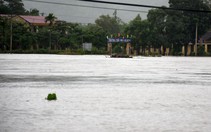 Phú Yên sơ tán hàng trăm hộ dân tránh lũ