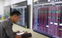 Bà Hồ Thị Kim Thoa bán hết 1,68 triệu cổ phiếu Điện Quang