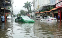 TP.HCM yêu cầu khẩn cấp giám sát rác thải sau bão