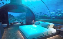 Khách sạn 50.000 USD một đêm ngắm cá mập giữa đại dương
