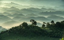 Mở mắt thấy thiên đường Bảo Lộc