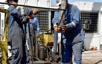 Giá dầu tiếp tục giảm, OPEC bất lực