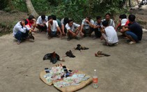 Bắt 13 người đánh bạc bằng đá gà, thu giữ 50 triệu