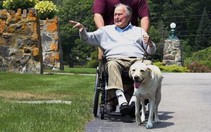 Xúc động vì hình ảnh chú chó Sully trung thành của ông Bush ‘cha’