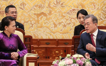 Việt Nam có vai trò quan trọng với Hàn Quốc trong nhiều lĩnh vực