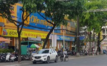 Kiến nghị xử lý nhiều người, tổ chức liên quan 'đất vàng' ở Cần Thơ