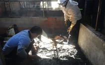 Cháy hai căn nhà ngày 27 tết, người dân bới tro tàn tìm tài sản