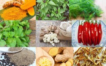 Ngày Tết cũng cần trữ gia vị